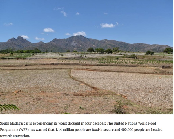 Landscape showing drought conditions